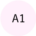 A1