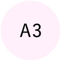 A3