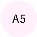 A5